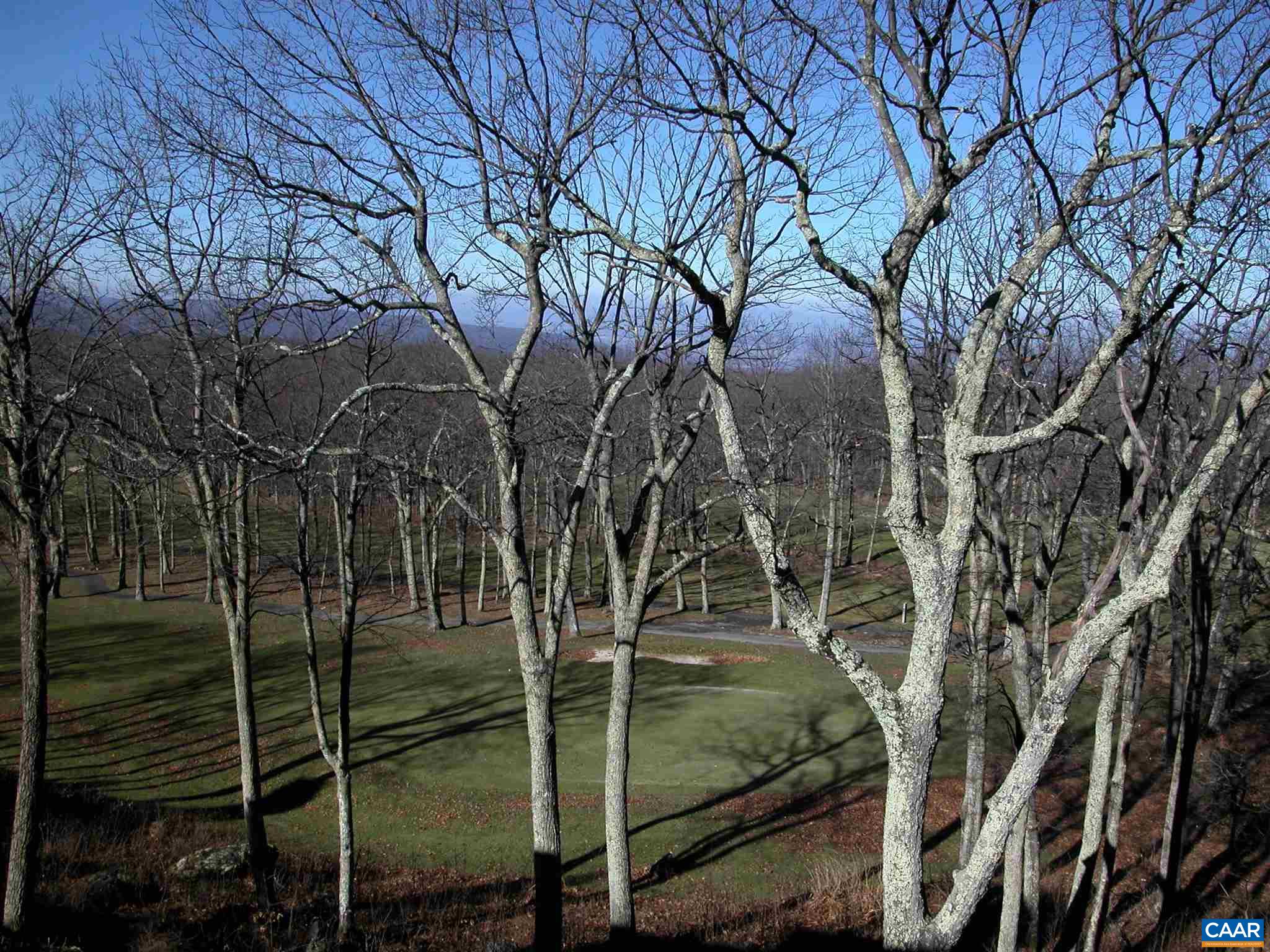 2069 Stone Ridge Wintergreen, VA 22967 - Photo 2 of 13 Gallery Image 2