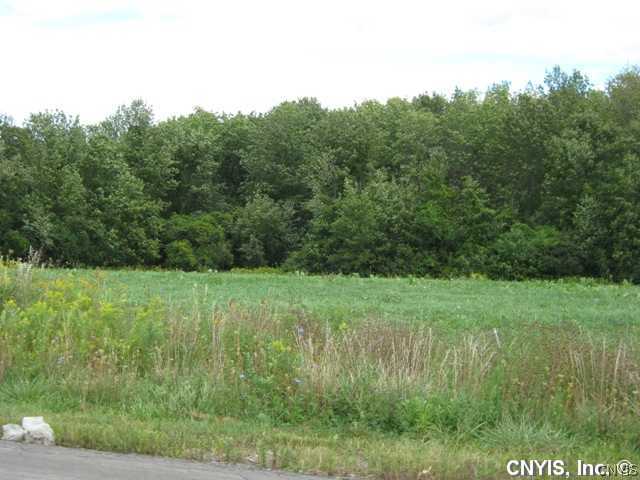 Lot #4 Bussey Road Phoenix, NY 13135 - Photo 1 of 4