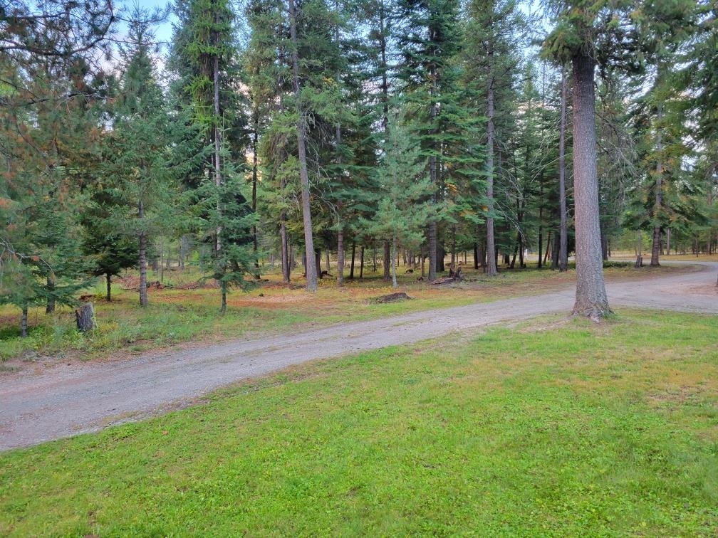 5792 Spring Valley Road Newport, WA 99156 - Photo 12 of 45 Gallery Image 12