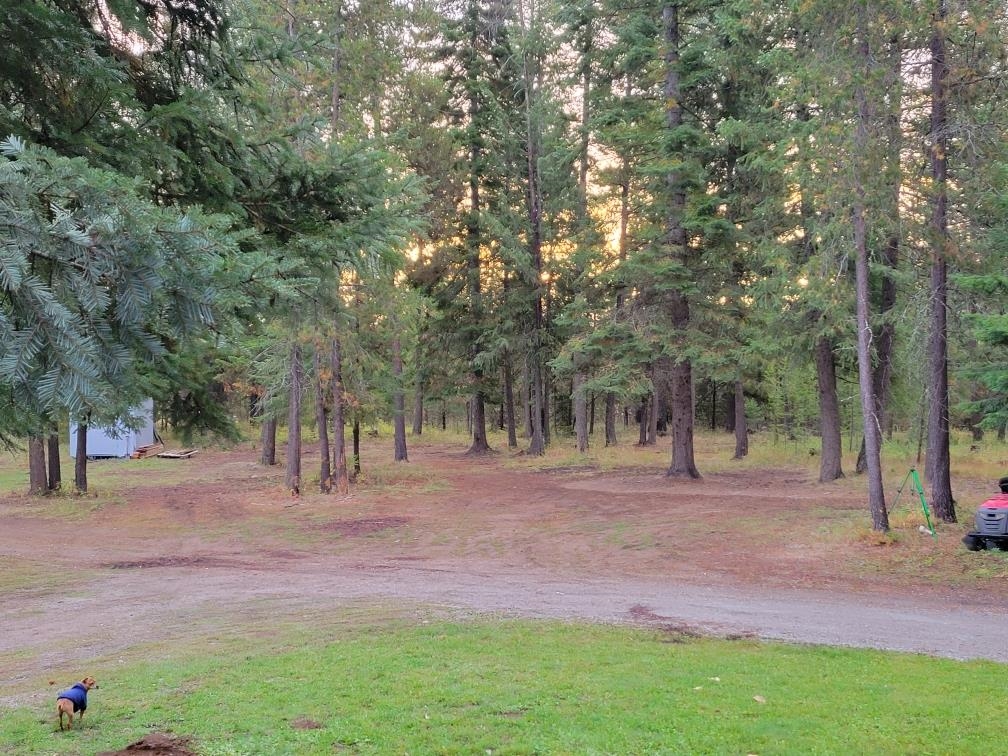 5792 Spring Valley Road Newport, WA 99156 - Photo 9 of 45 Gallery Image 9