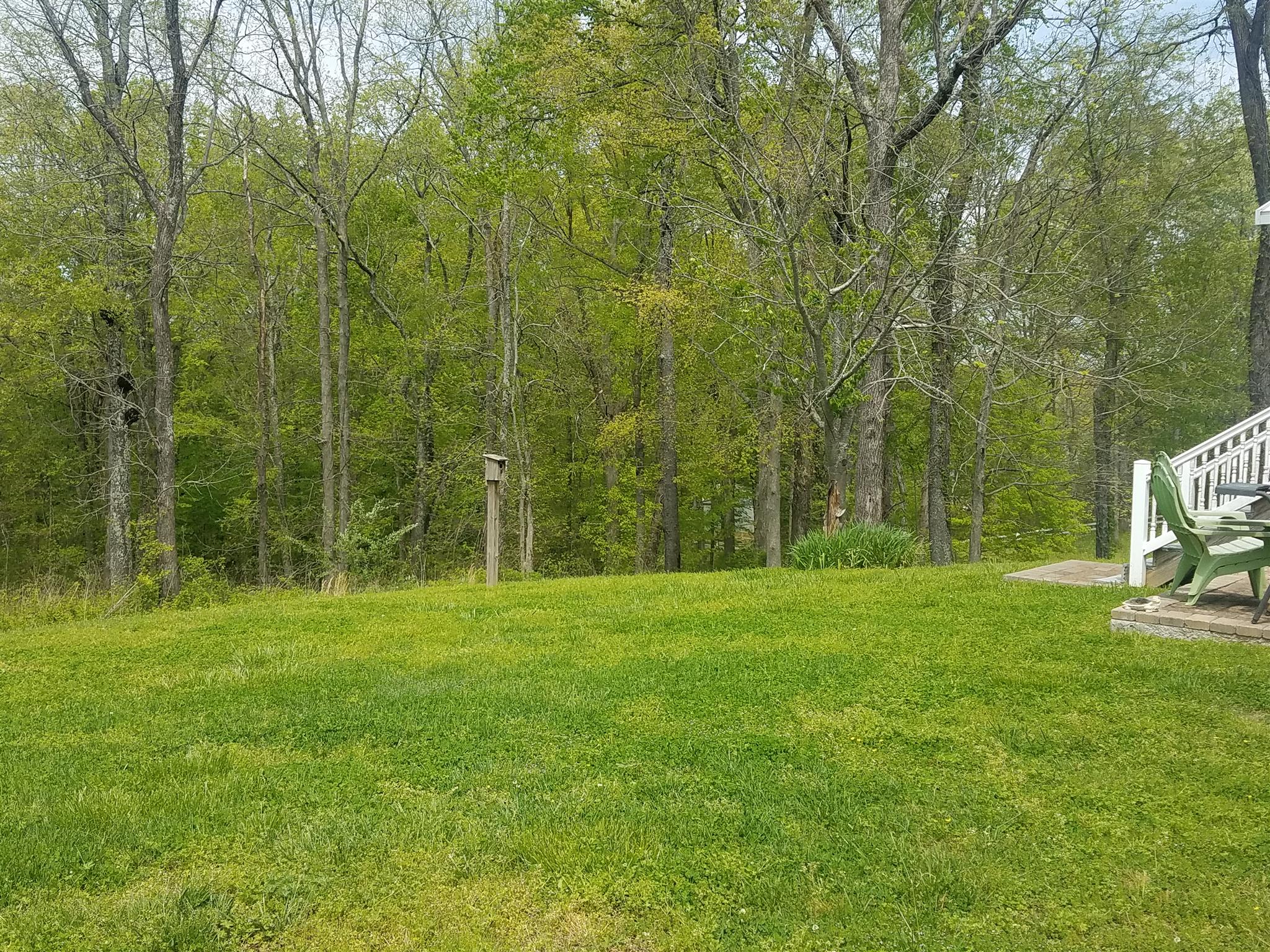 2134 Berea Church Road Lebanon, TN 37087 - Photo 20 of 21 Private back yard