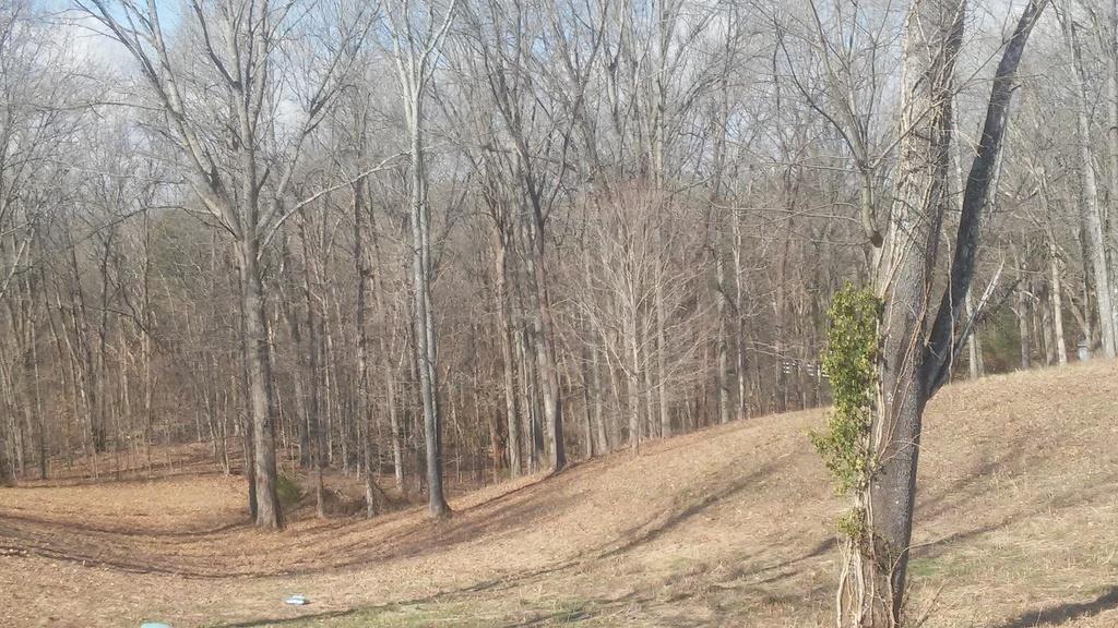 2134 Berea Church Road Lebanon, TN 37087 - Photo 21 of 21