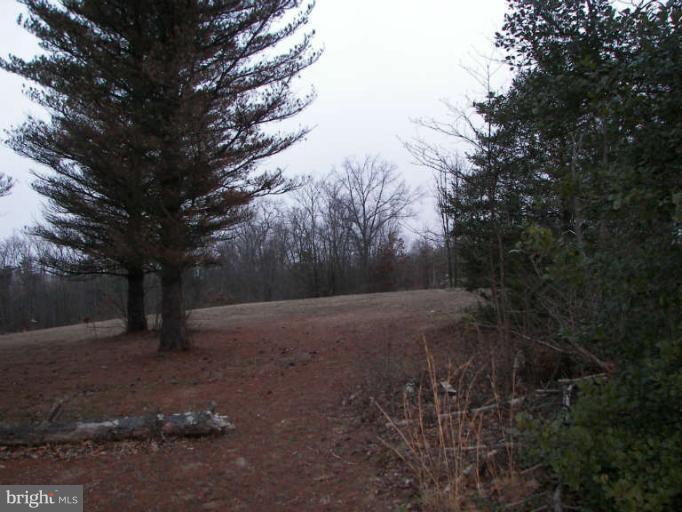 472 Sherrill Berkeley Springs Berkeley Springs, WV 25411 - Photo 18 of 18 a view of outdoor space with lots of trees