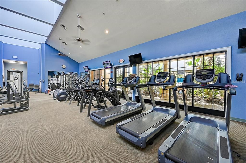 220 Shell Falls Drive Apollo Beach, FL 33572 - Photo 66 of 74