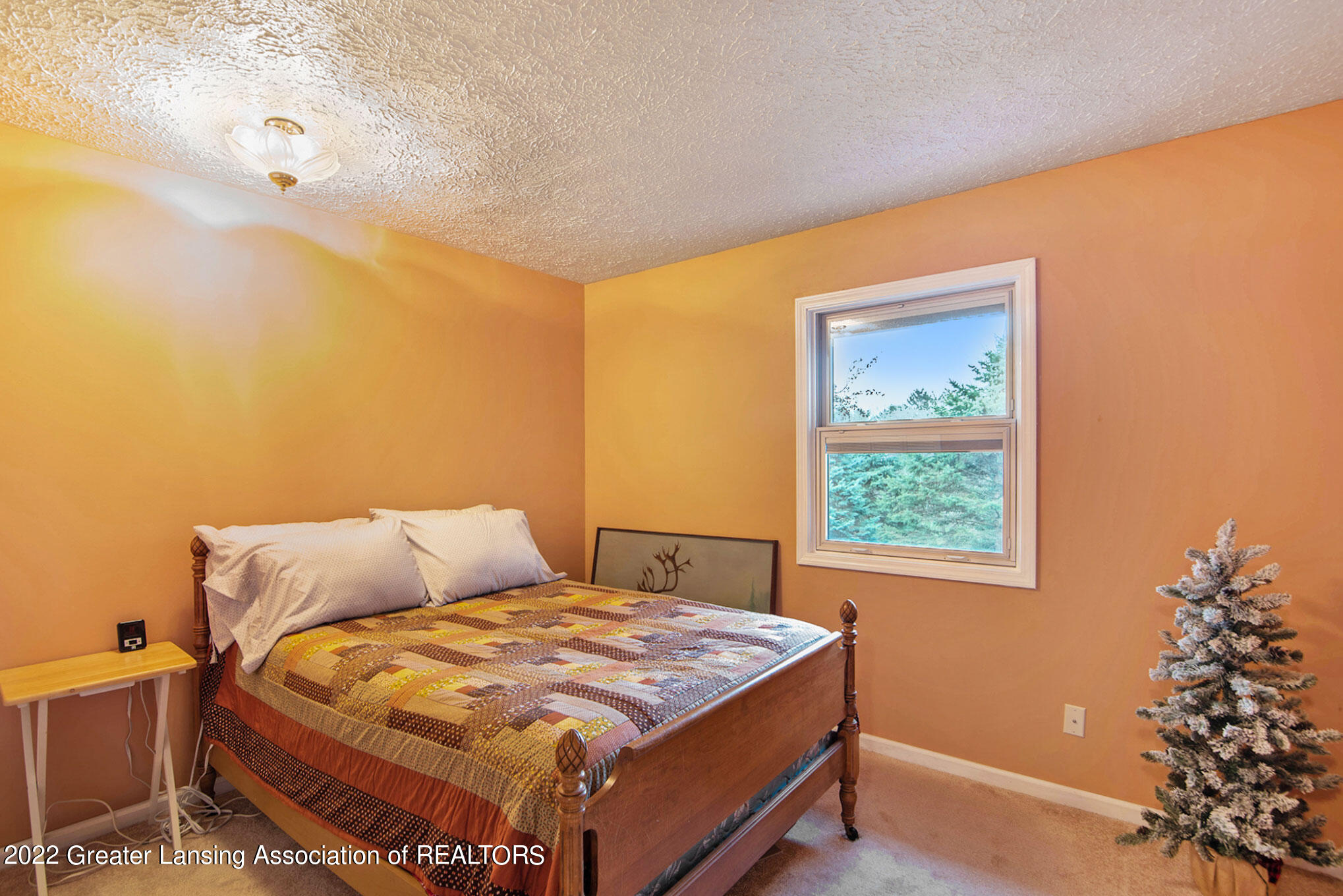 5493 Maple Ridge Road Haslett, MI 48840 - Photo 19 of 26 DSC_3152