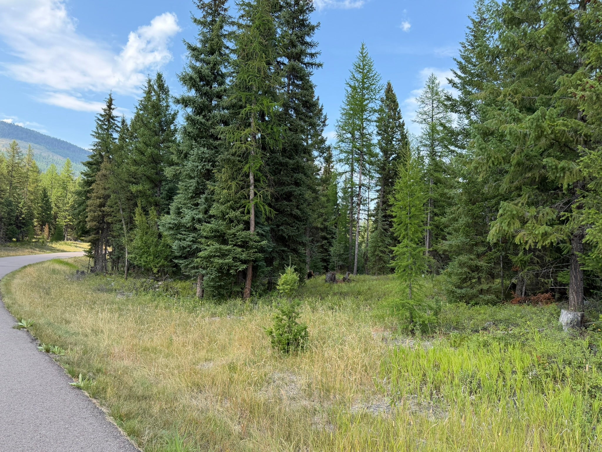 517 Haskill Rnch Road Kila, MT 59920 - Photo 10 of 26 Gallery Image 10
