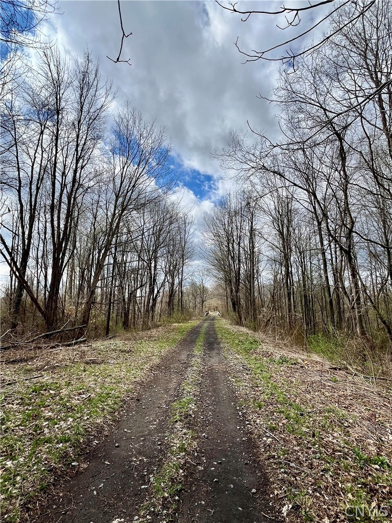 1462 Onionville Road Sterling, NY 13156 - Photo 34 of 41 The Hojak trail borders this property for easy acc