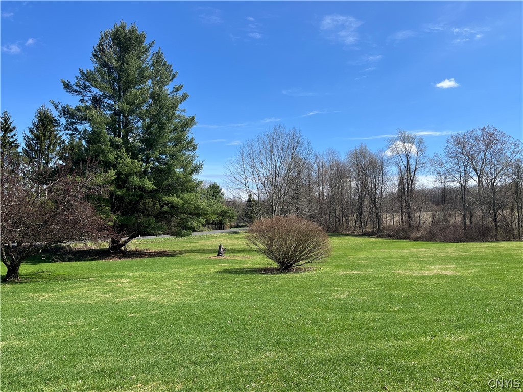 1462 Onionville Road Sterling, NY 13156 - Photo 6 of 41 Mature trees give the property a real country feel