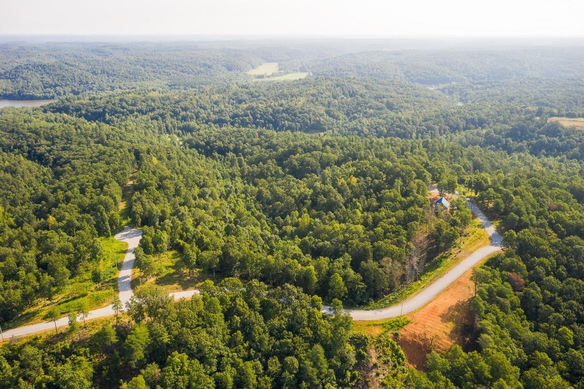 0 Pelican Court Waverly, TN 37185 - Photo 3 of 6