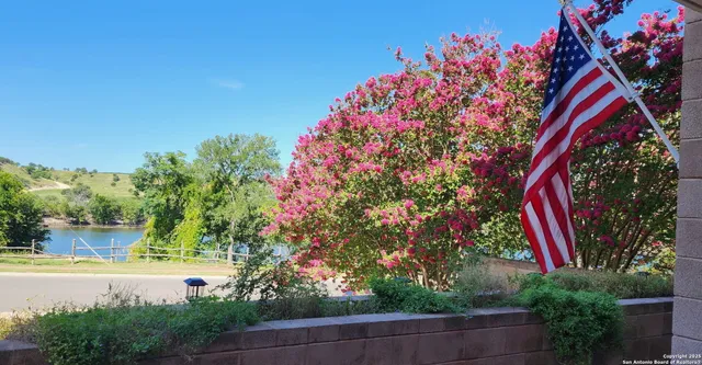 a picture of flowers