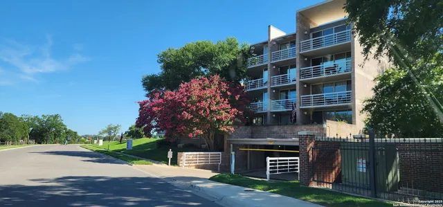 a view of a yard with plants and trees