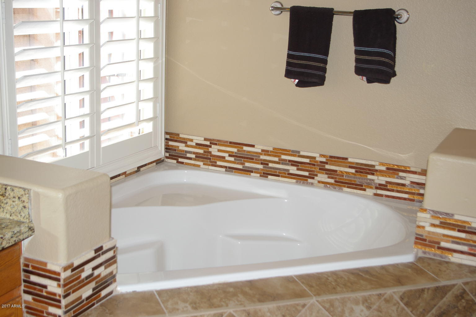 309 East Nunneley Road Gilbert, AZ 85296 - Photo 23 of 30 IMGP6193
