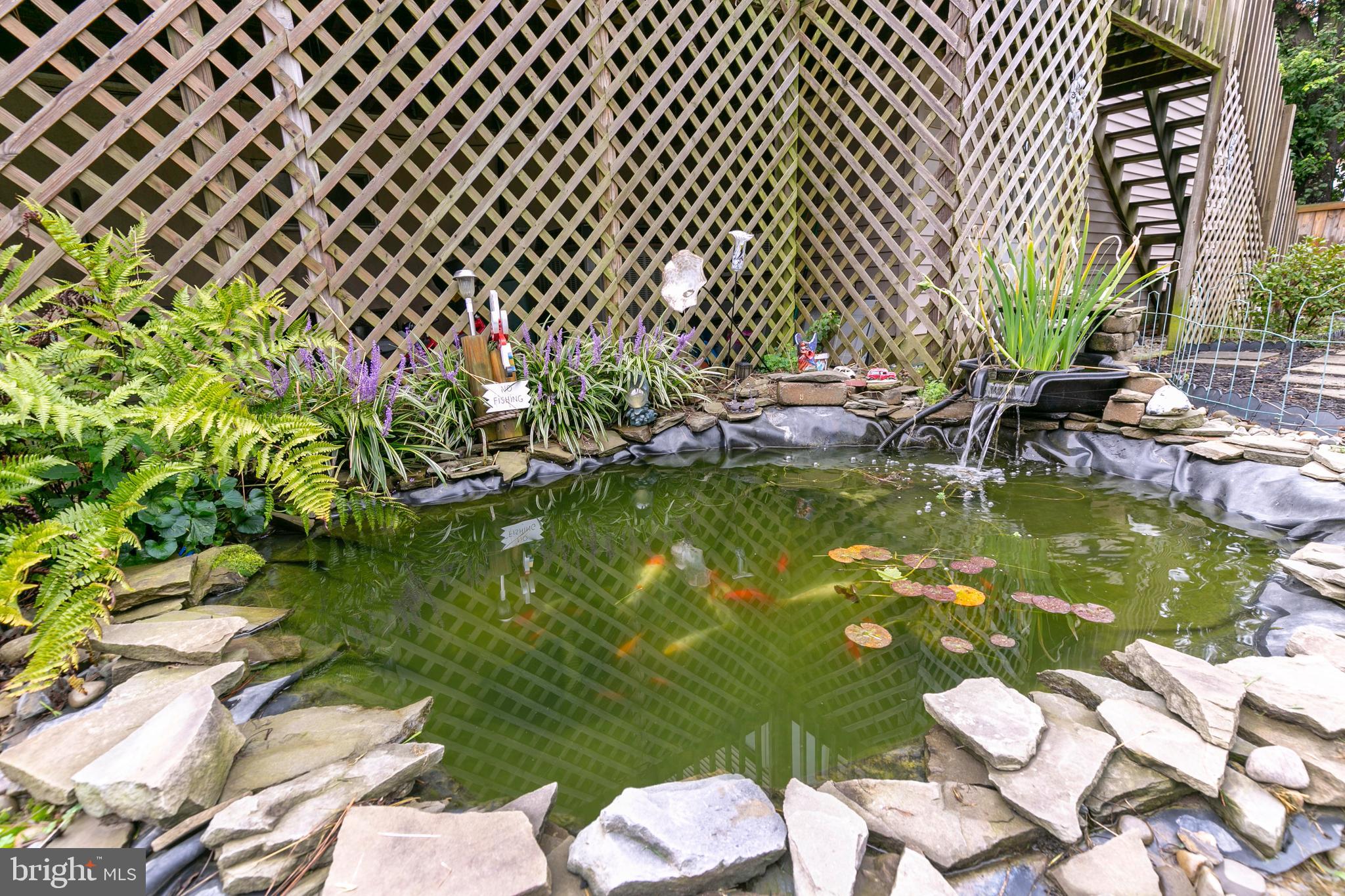 105 Rutledge Road Queenstown, MD 21658 - Photo 24 of 57 Soothing Koi Pond!