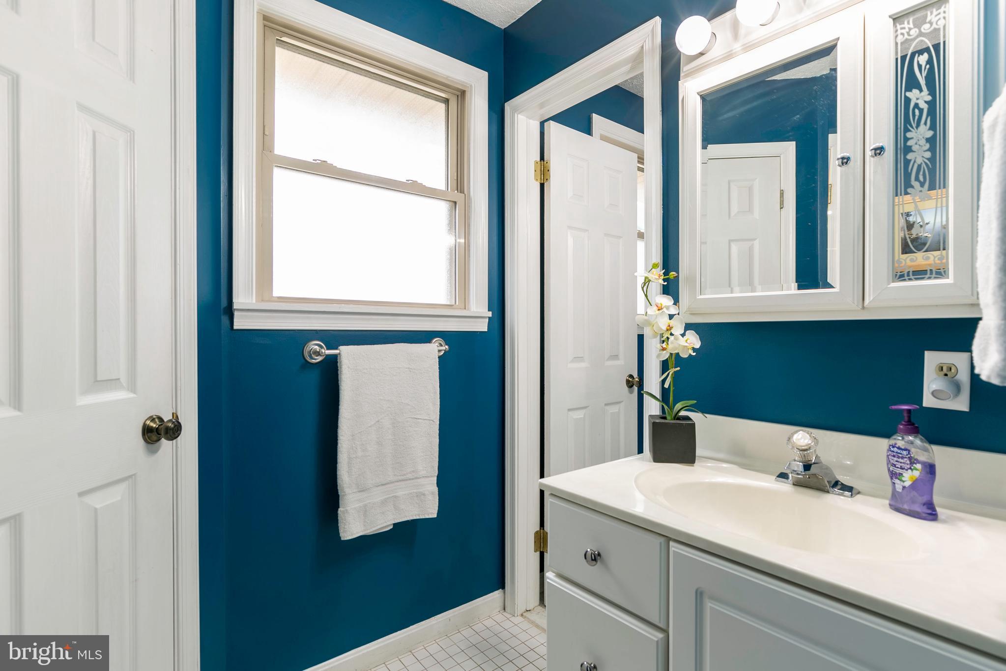 105 Rutledge Road Queenstown, MD 21658 - Photo 40 of 57 Owners Bathroom has separate sinks