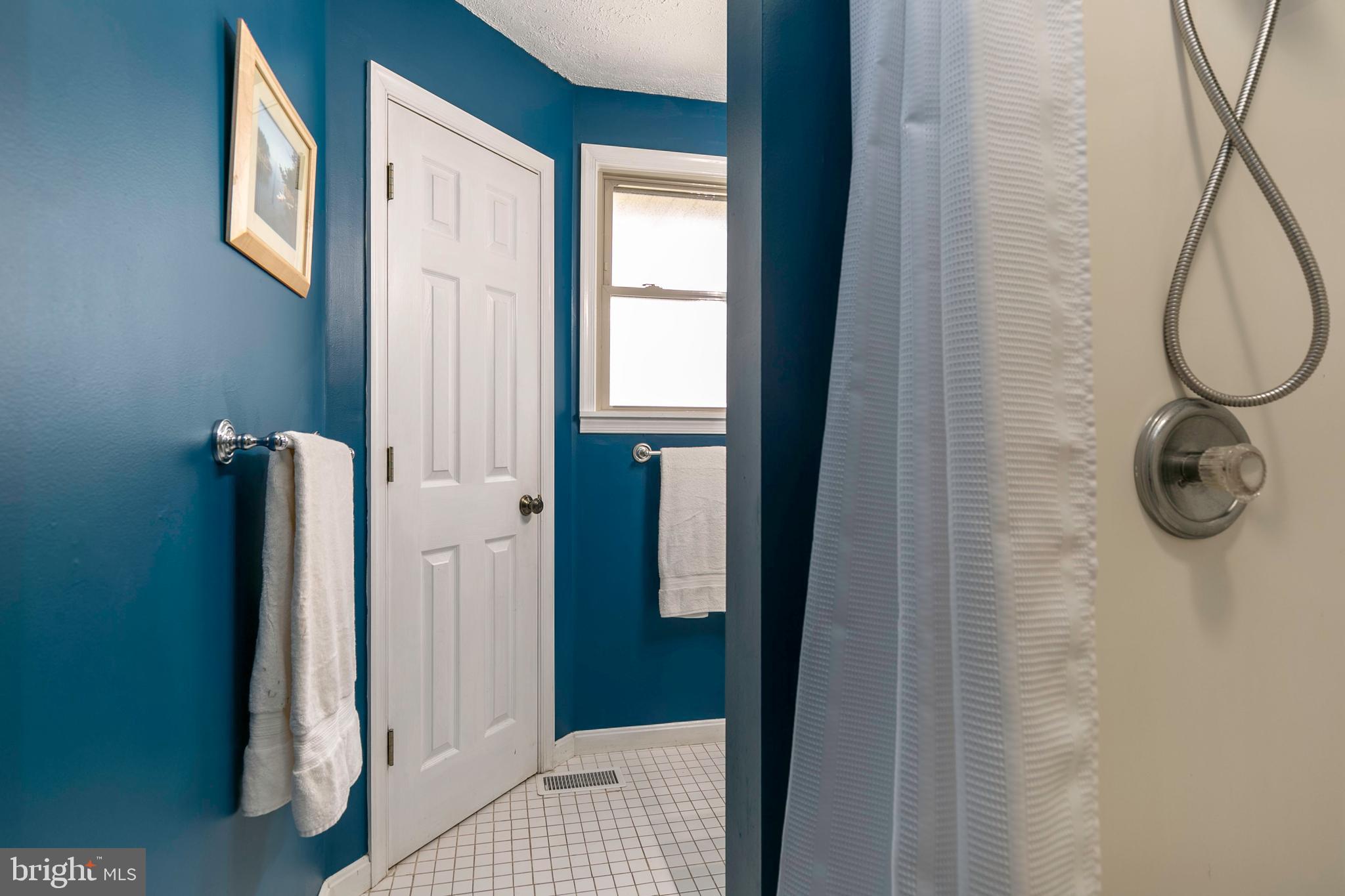 105 Rutledge Road Queenstown, MD 21658 - Photo 41 of 57 Owners bathroom with walk-in shower