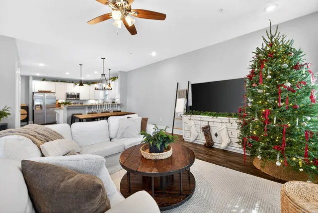 a living room with furniture a flat screen tv and a potted plant