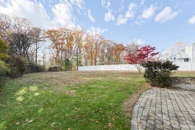 a view of yard with tree s