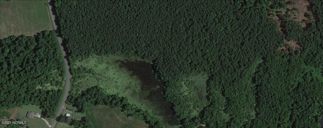 4 Englishtown Road Willard, NC 28478 - Photo 4 of 4 Google Earth 2