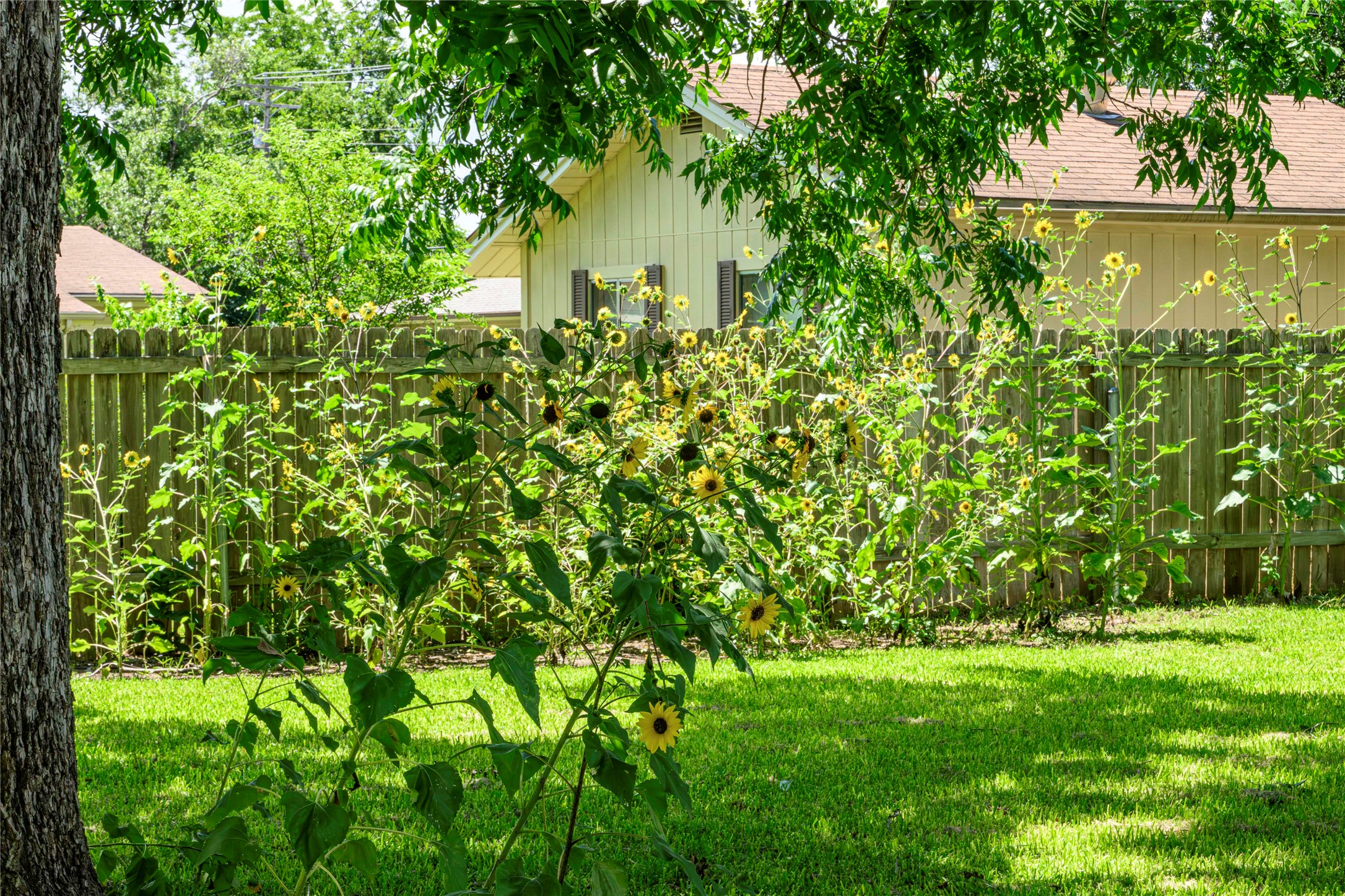 1801 Ohlen Road Austin, TX 78757 - Photo 25 of 32 Gallery Image 25