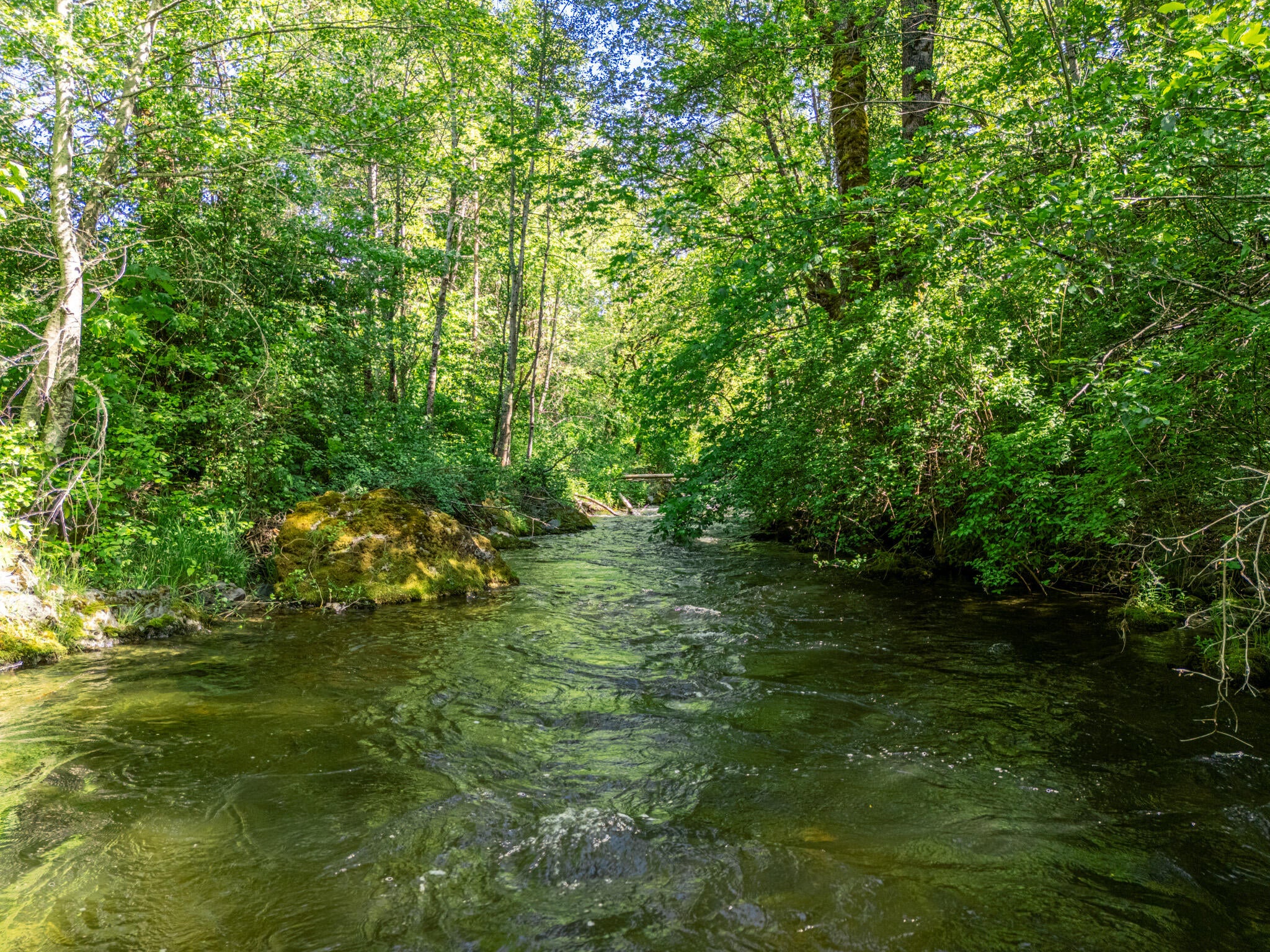 6180 Little Applegate Road Jacksonville, OR 97530 - Photo 2 of 59 DJI_20250520155935_0396_D-HDR