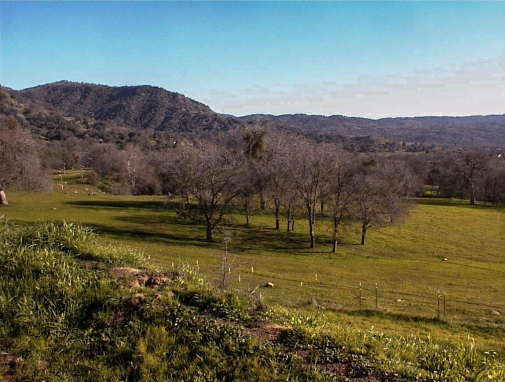 39950 Millwood Road Dunlap, CA 93621 - Photo 52 of 72 Gallery Image 52