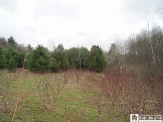 Jamestown Road Randolph, NY 14772 - Photo 1 of 1 Gallery Image 1
