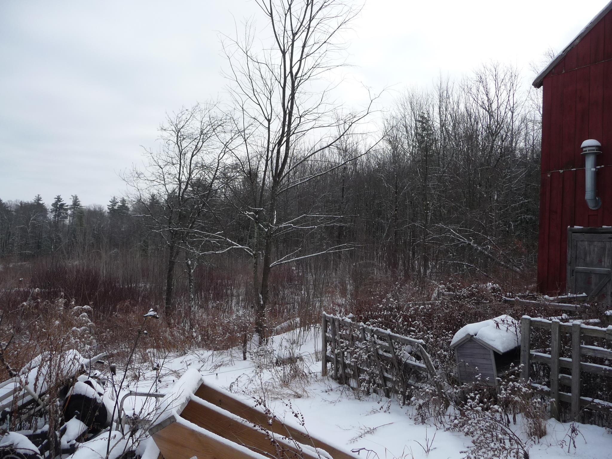 433 N Road Deering, NH 03244 - Photo 21 of 22