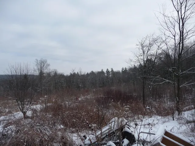 $260,000 | 433 N Road, Deering, NH 03244