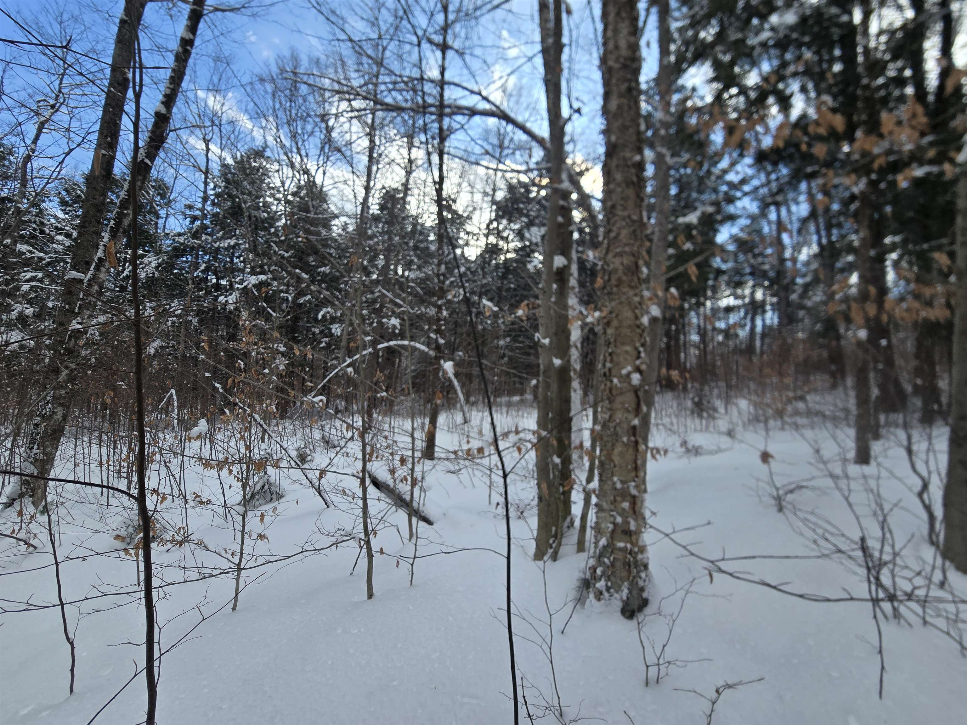 Tbd Farrar Road Chester, VT 05143 - Photo 11 of 16