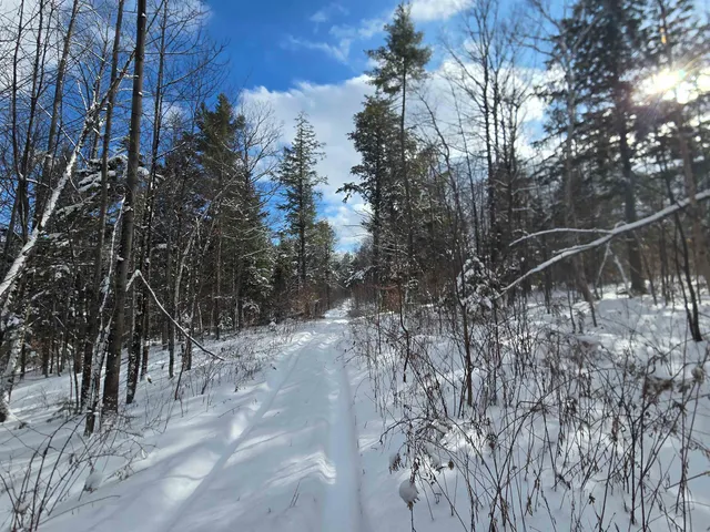 $74,500 | Tbd Farrar Road, Chester, VT 05143