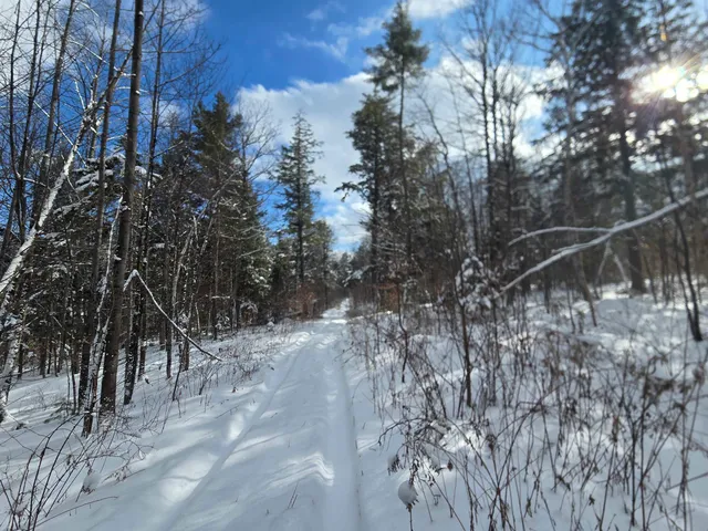 $74,500 | Tbd Farrar Road, Chester, VT 05143