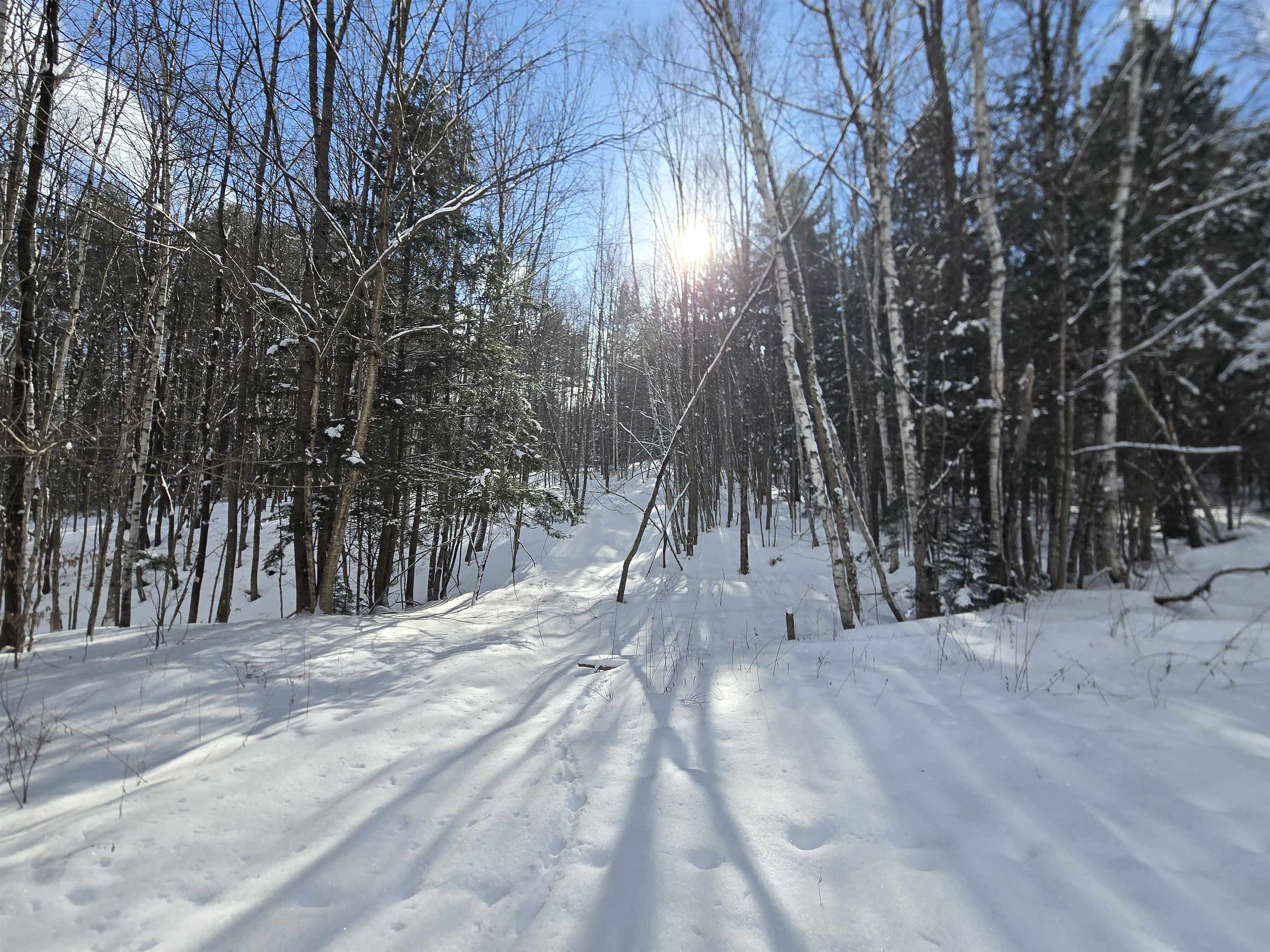 Tbd Farrar Road Chester, VT 05143 - Photo 2 of 16