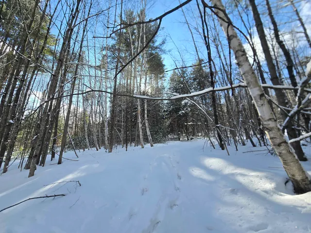 $74,500 | Tbd Farrar Road, Chester, VT 05143