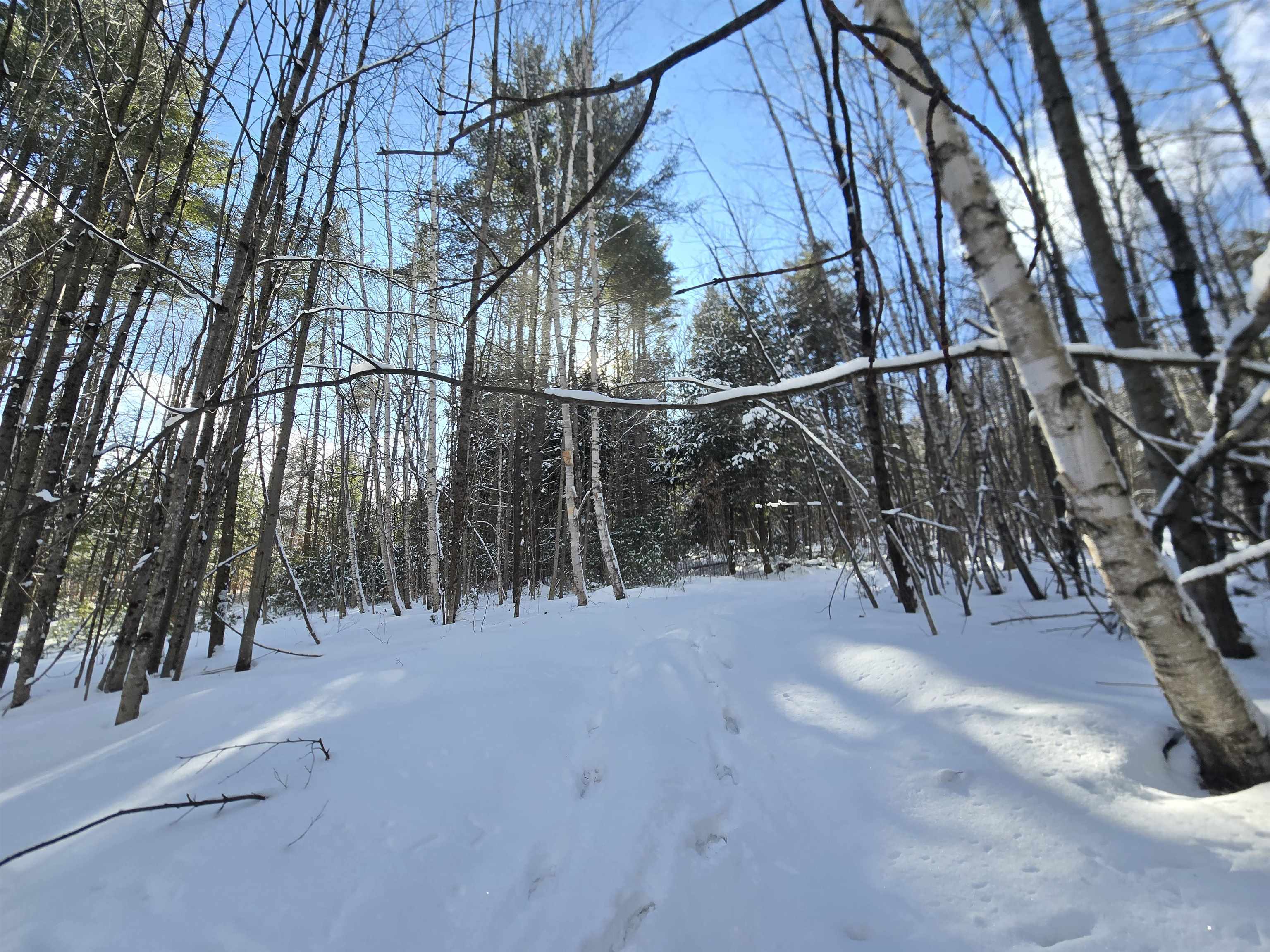 Tbd Farrar Road Chester, VT 05143 - Photo 3 of 16