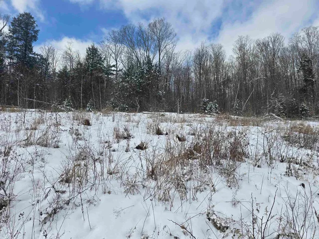 $74,500 | Tbd Farrar Road, Chester, VT 05143