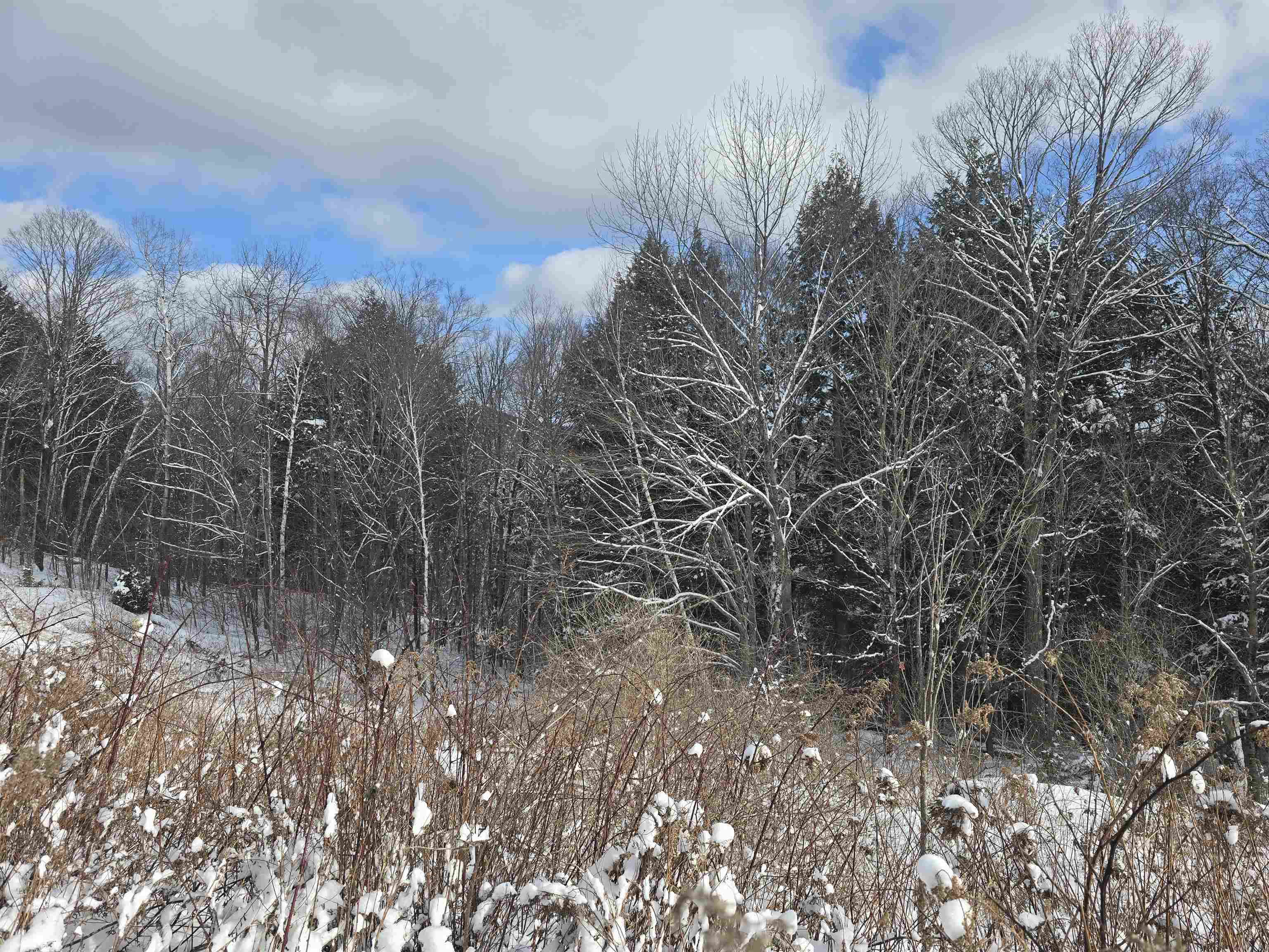 Tbd Farrar Road Chester, VT 05143 - Photo 7 of 16