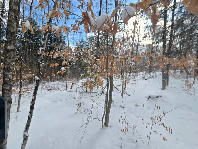 $74,500 | Tbd Farrar Road, Chester, VT 05143