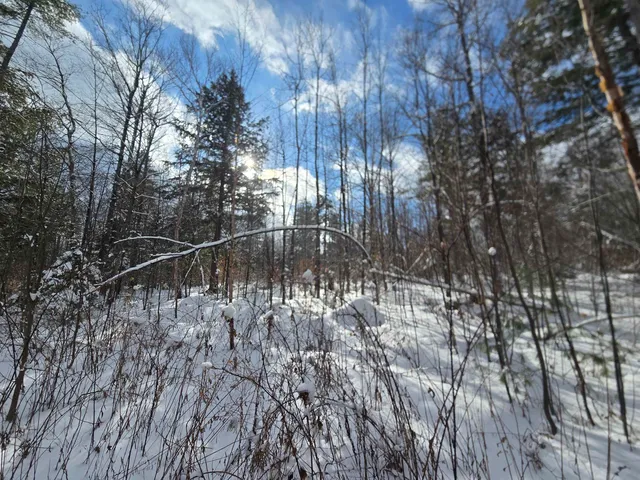 $74,500 | Tbd Farrar Road, Chester, VT 05143