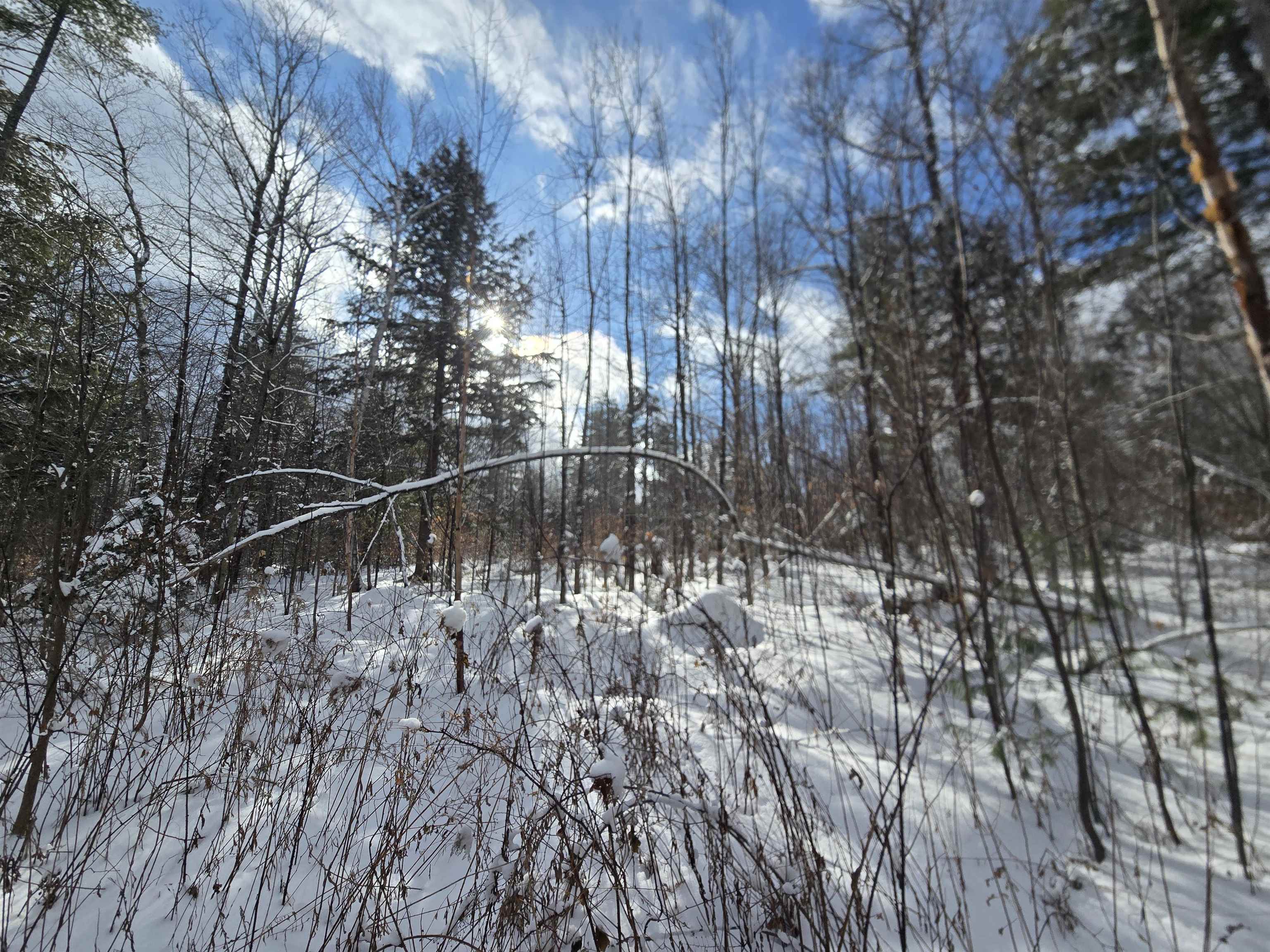 Tbd Farrar Road Chester, VT 05143 - Photo 9 of 16
