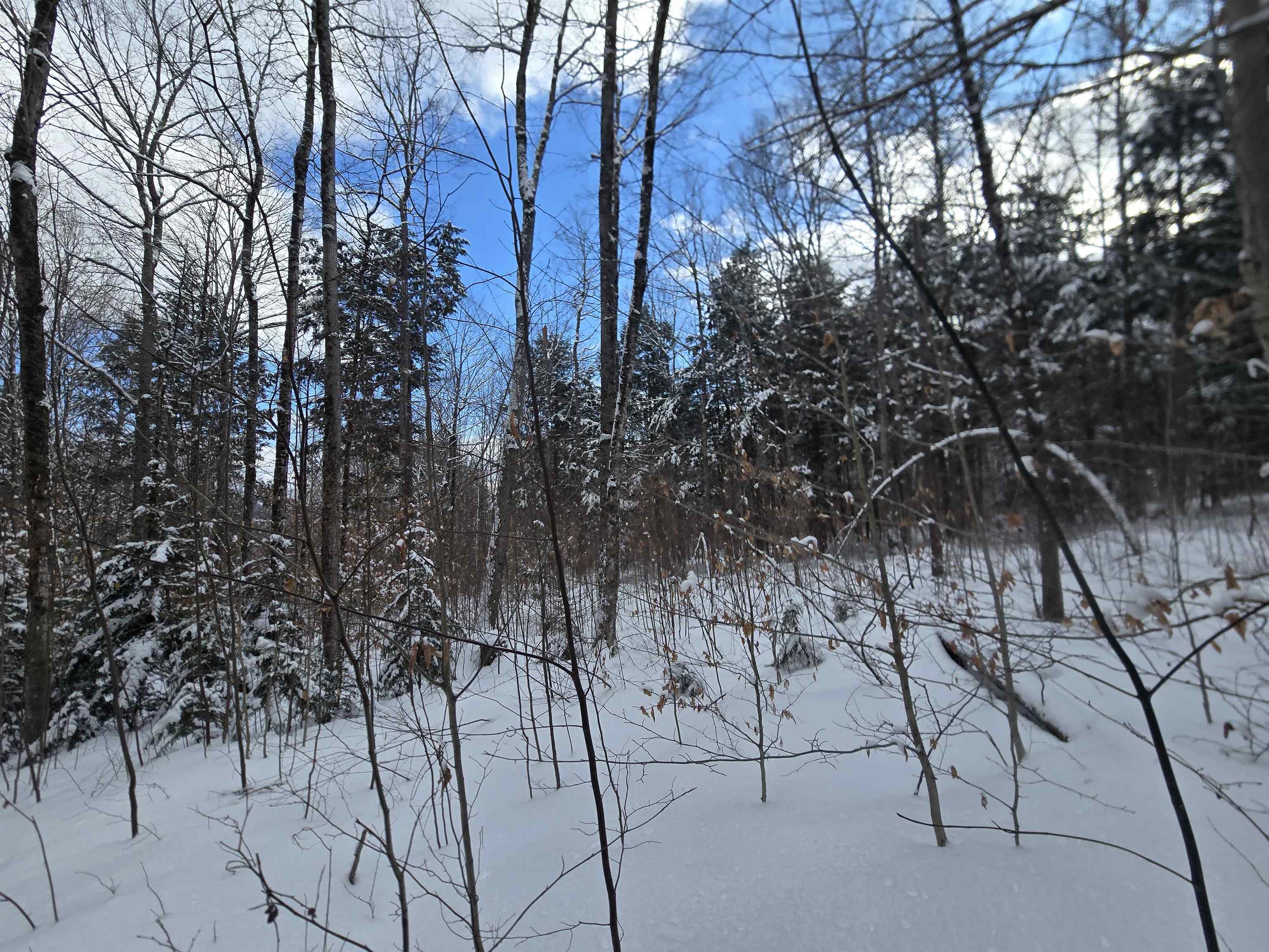 Tbd Farrar Road Chester, VT 05143 - Photo 10 of 16