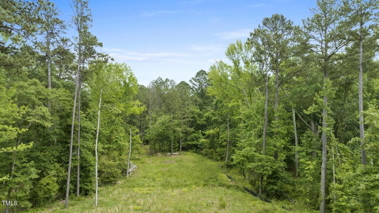 87 Sexton Road Apex, NC 27523 - Photo 3 of 10