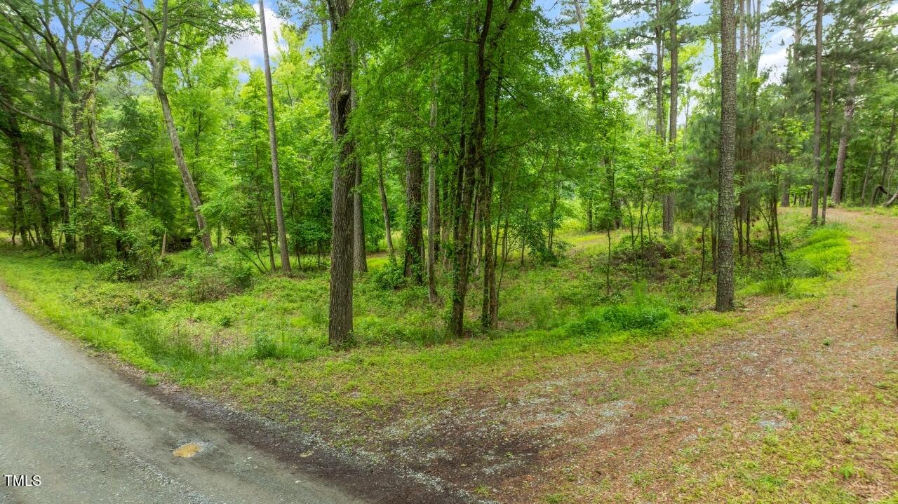 87 Sexton Road Apex, NC 27523 - Photo 5 of 10 a view of a yard with a trees