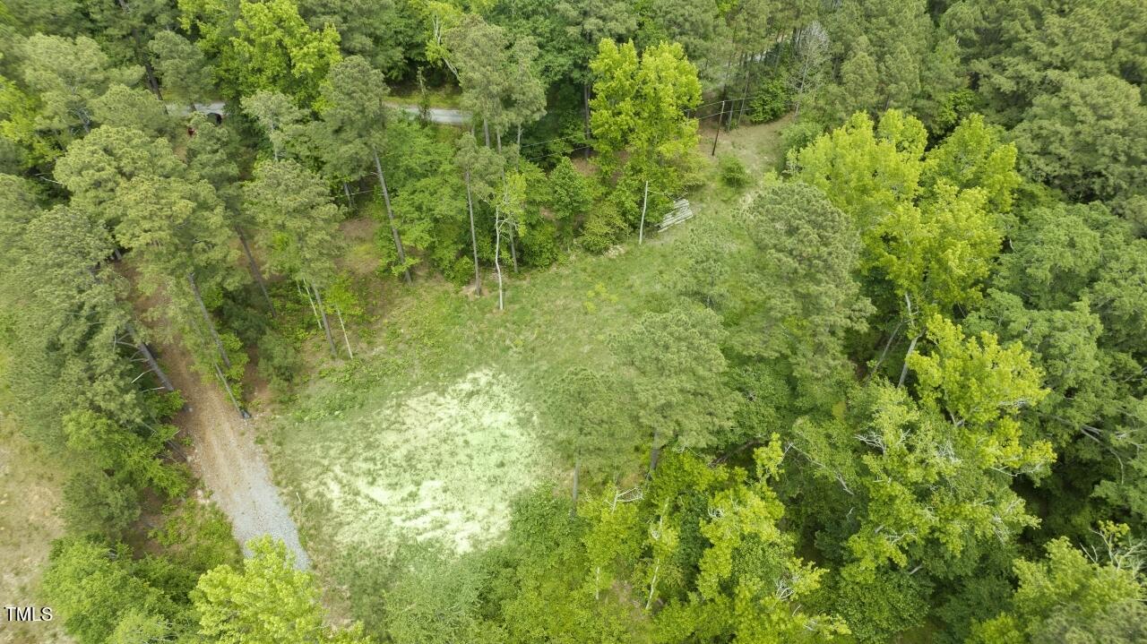 87 Sexton Road Apex, NC 27523 - Photo 7 of 10 a view of a lush green forest