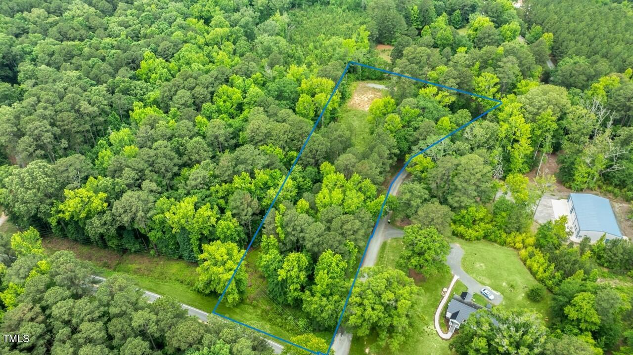 87 Sexton Road Apex, NC 27523 - Photo 8 of 10 a view of a lush green forest