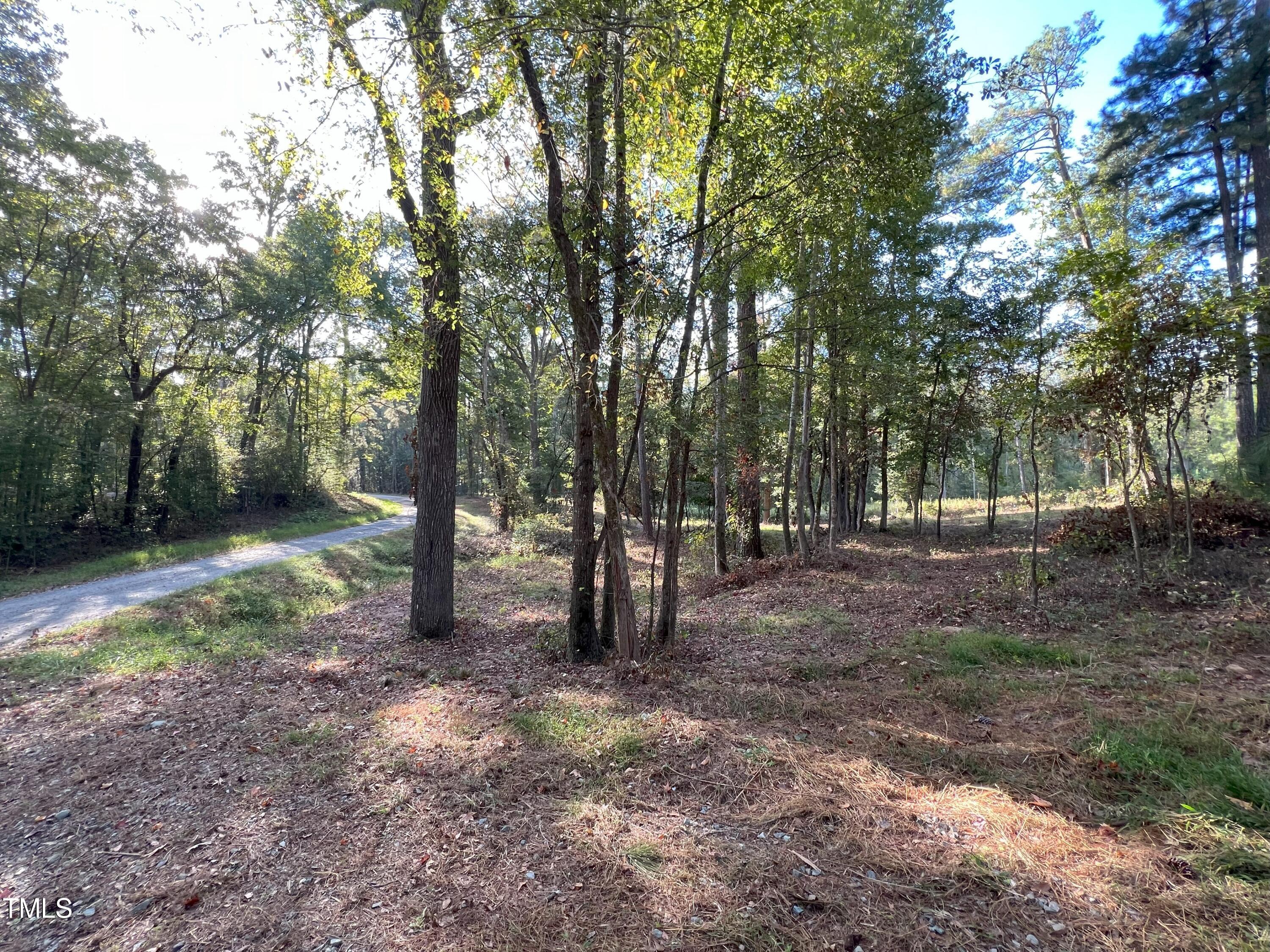 87 Sexton Road Apex, NC 27523 - Photo 10 of 10 a view of a trees in the forest