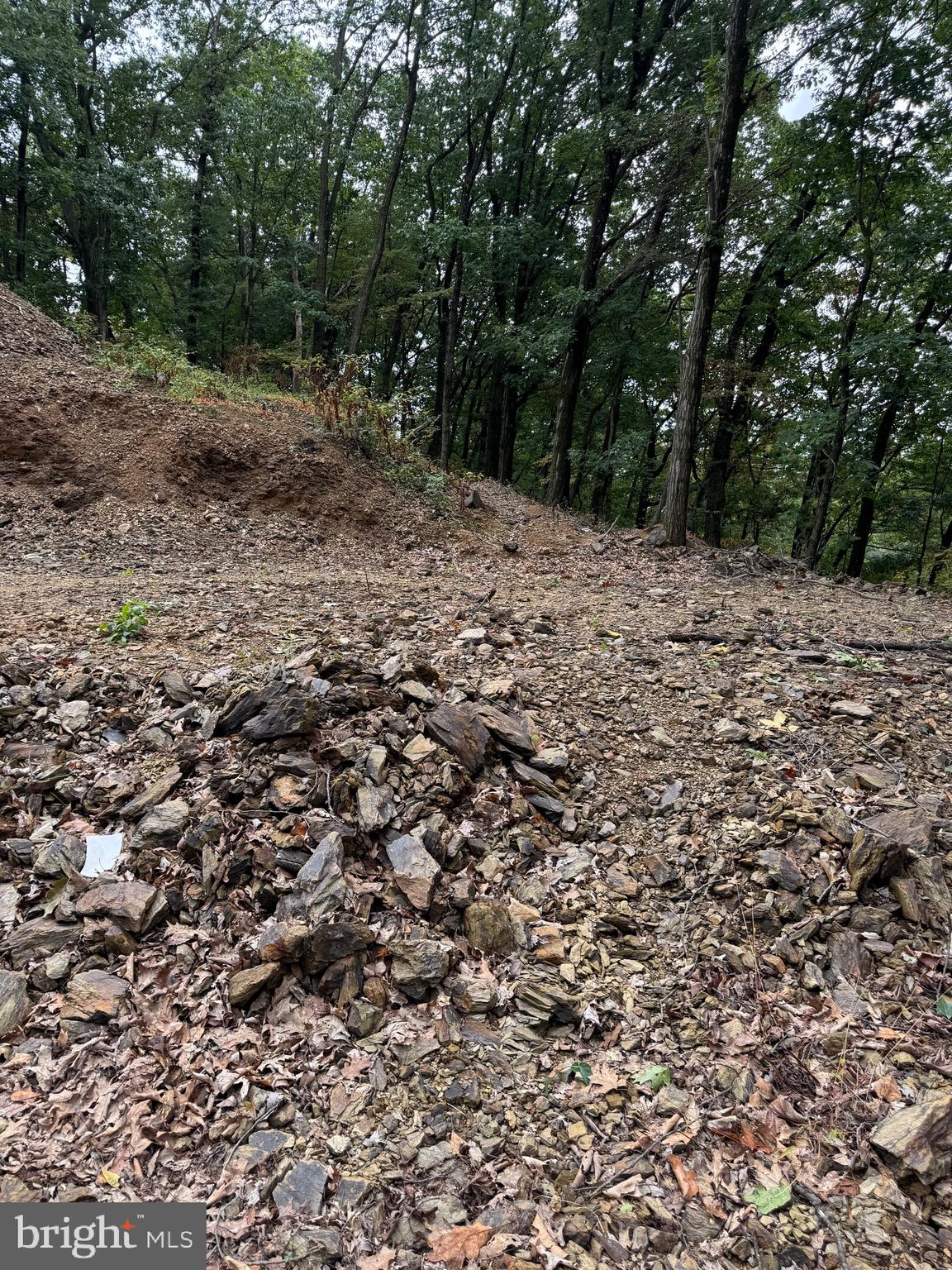 1099 Dowhower Road Harrisburg, PA 17111 - Photo 11 of 19 a view of a yard with a tree