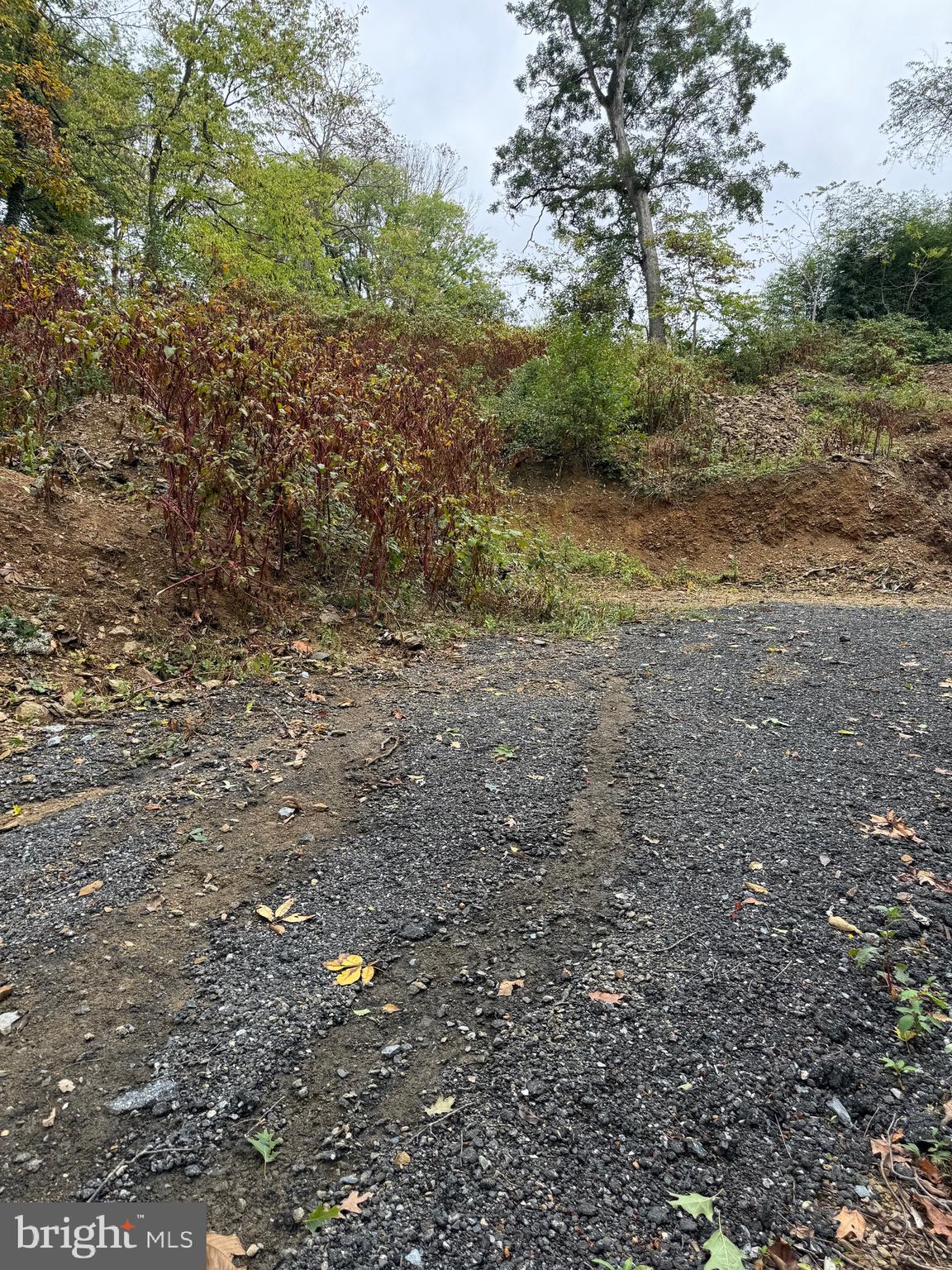 1099 Dowhower Road Harrisburg, PA 17111 - Photo 15 of 19 a view of outdoor space with trees