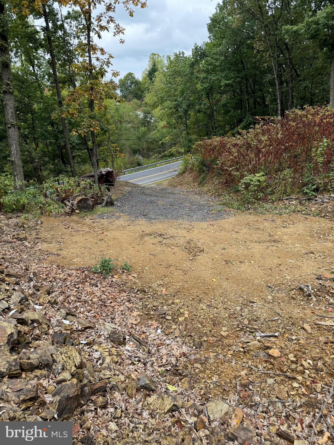 1099 Dowhower Road Harrisburg, PA 17111 - Photo 19 of 19 a view of backyard with outdoor space
