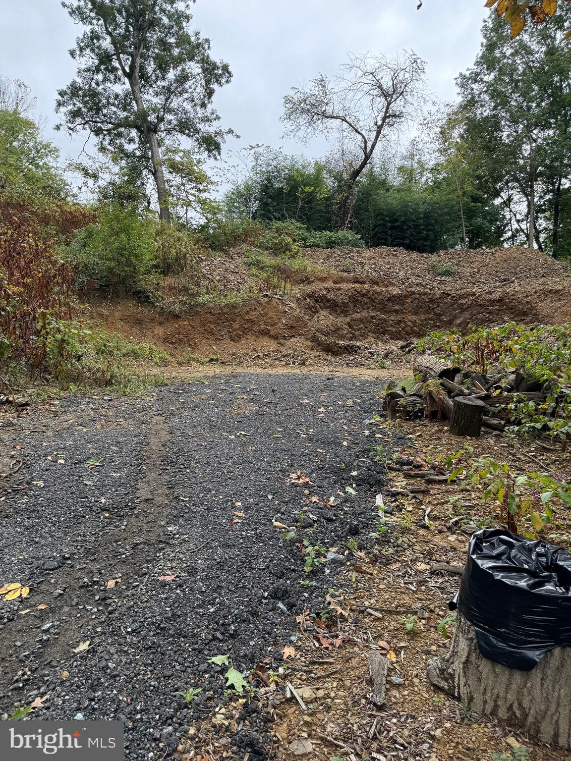 1099 Dowhower Road Harrisburg, PA 17111 - Photo 2 of 19 a view of a backyard of the house