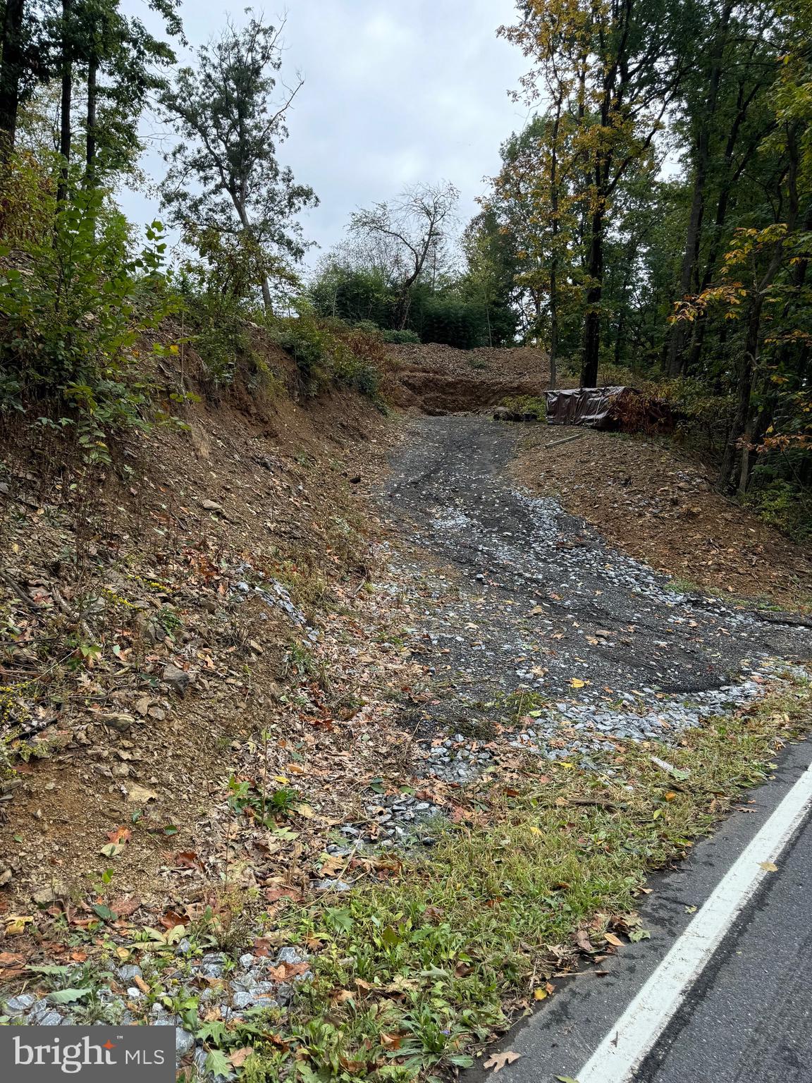 1099 Dowhower Road Harrisburg, PA 17111 - Photo 4 of 19 a view of a yard with wooden fence